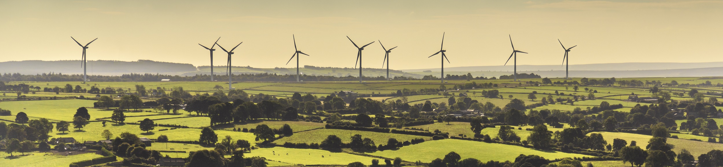 How can Knight Frank Rural support with a review of your assets?