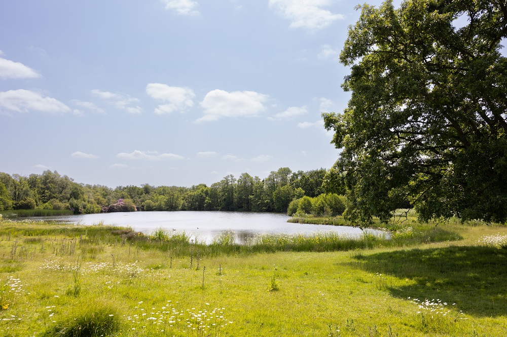 A small lake in Hyde Park