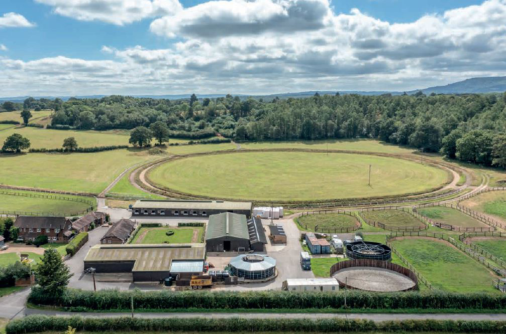 An equine training yard in Surrey 