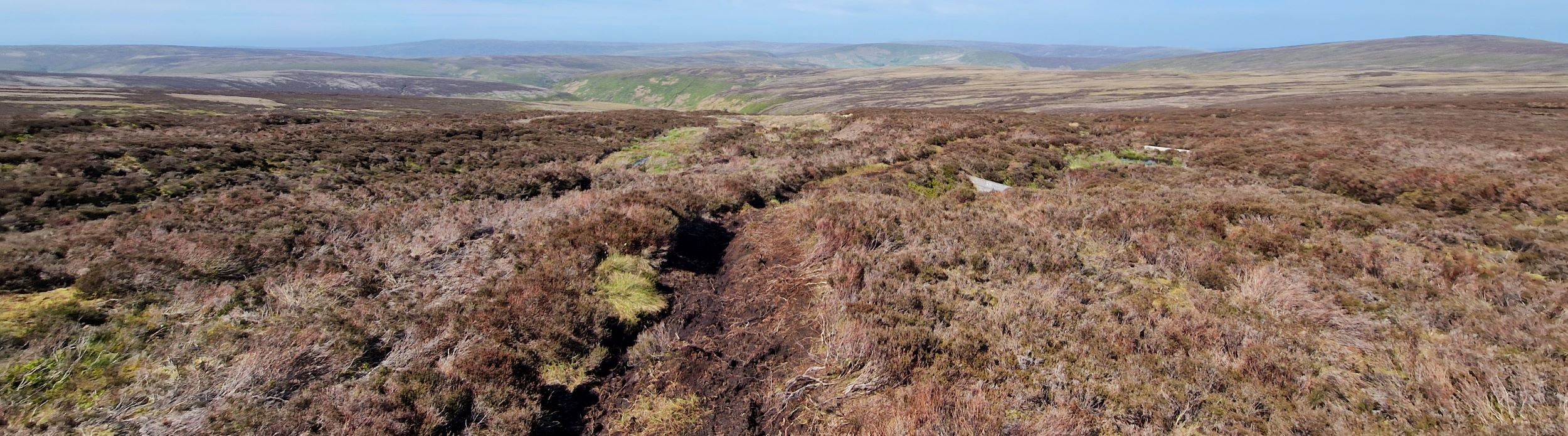 The power of influence in UK agriculture