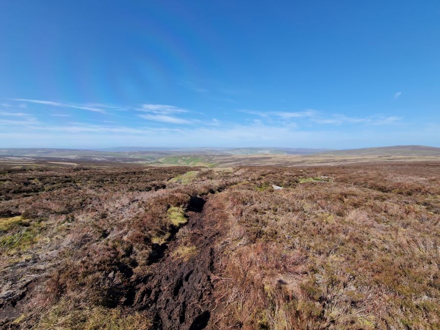 Image of The power of influence in UK agriculture