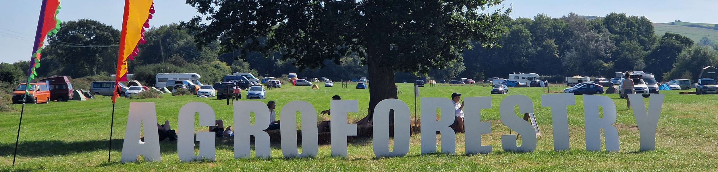 UK rural: the right tree in the right place
