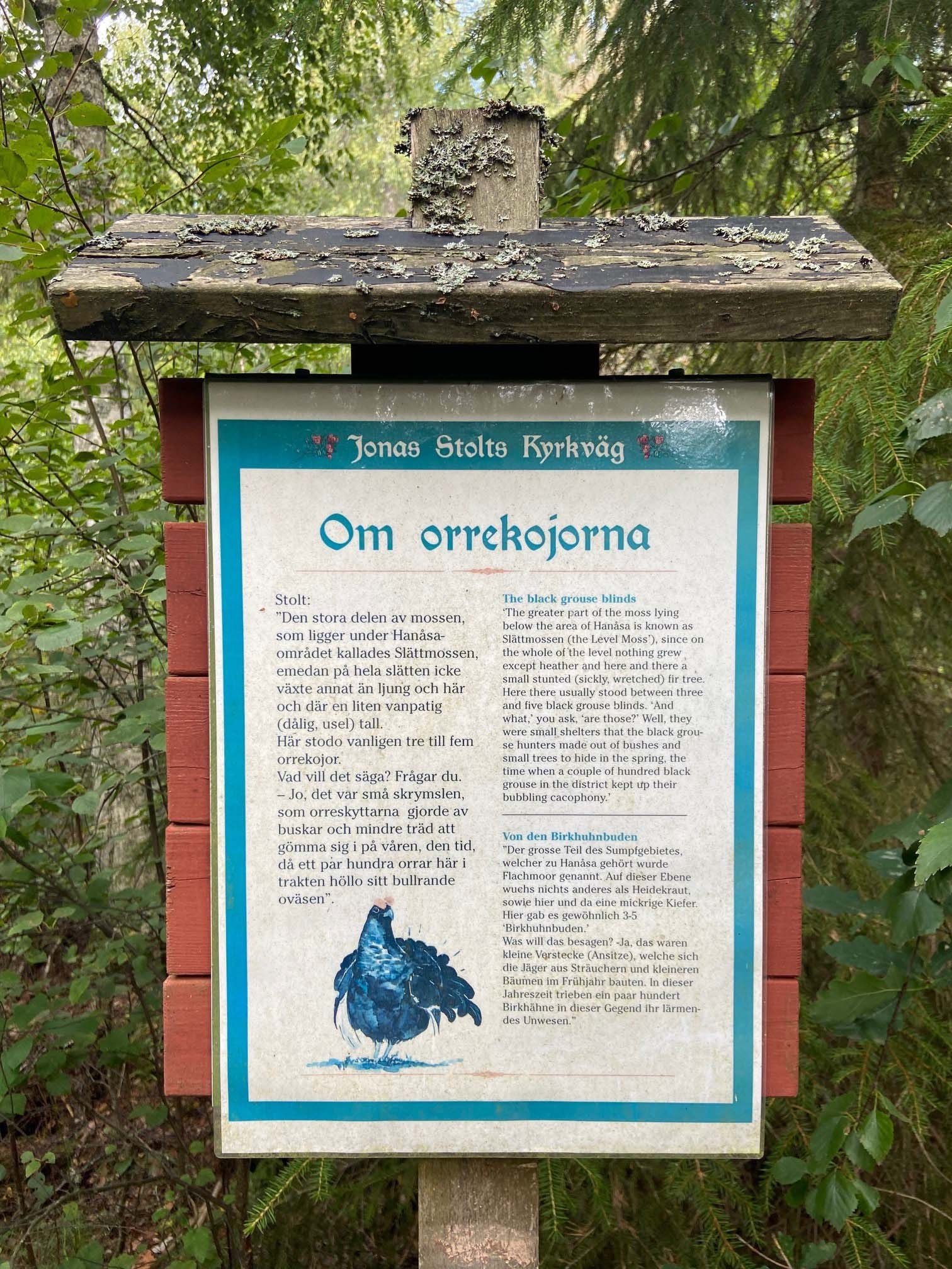 Information board in a Swedish forest