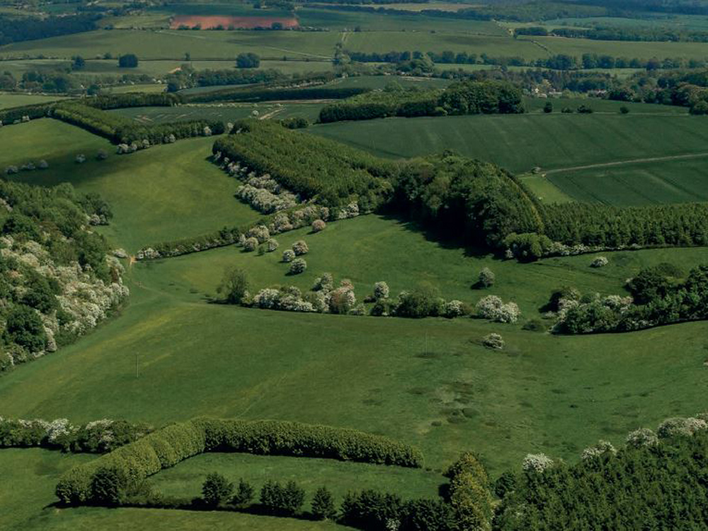 Image of UK rural property: Slowing down the green revolution