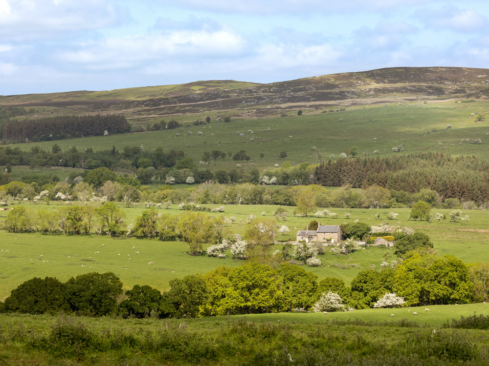 Image of Farm values hit new record