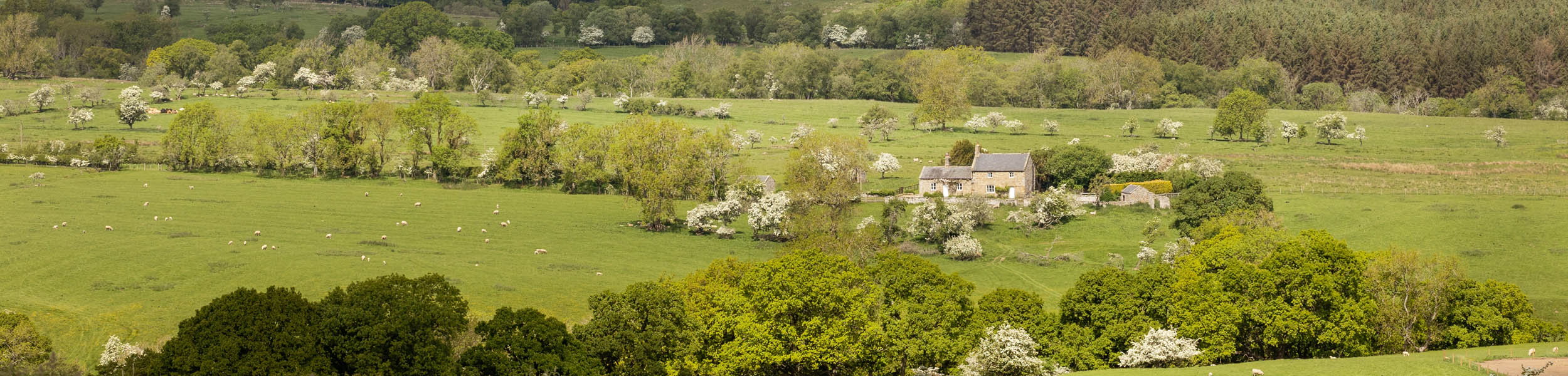 Farm values hit new record