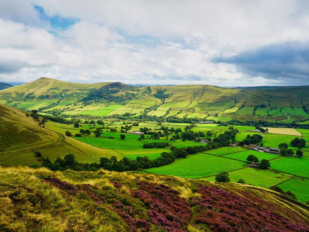 Image of How to make the most of the Sustainable Farming Incentive - January 2024