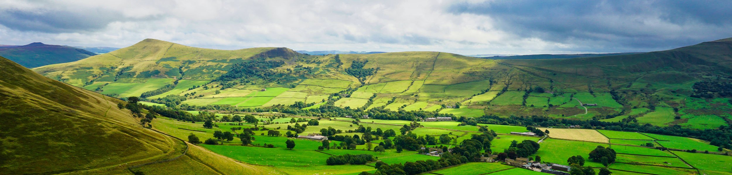 How to make the most of the Sustainable Farming Incentive - January 2024