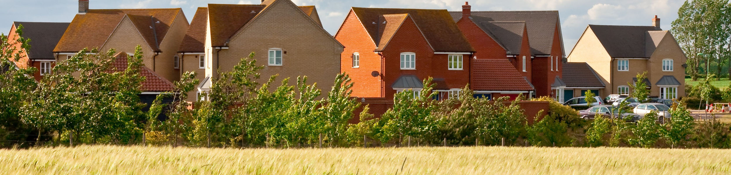 Is the biodiversity market a silver bullet for landowners?