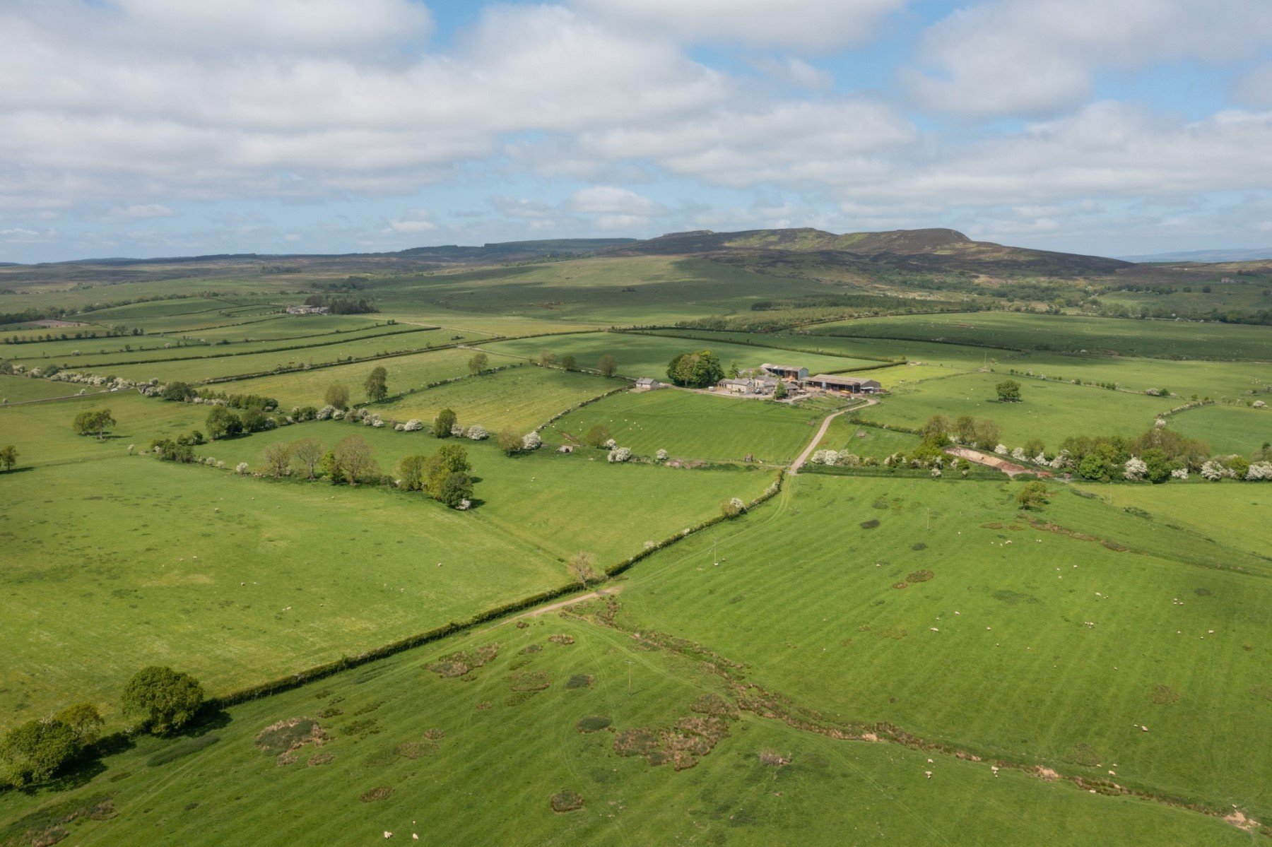The Wildlife Trusts purchase the Rothbury Estate in partnership with Northumberland Wildlife Trust