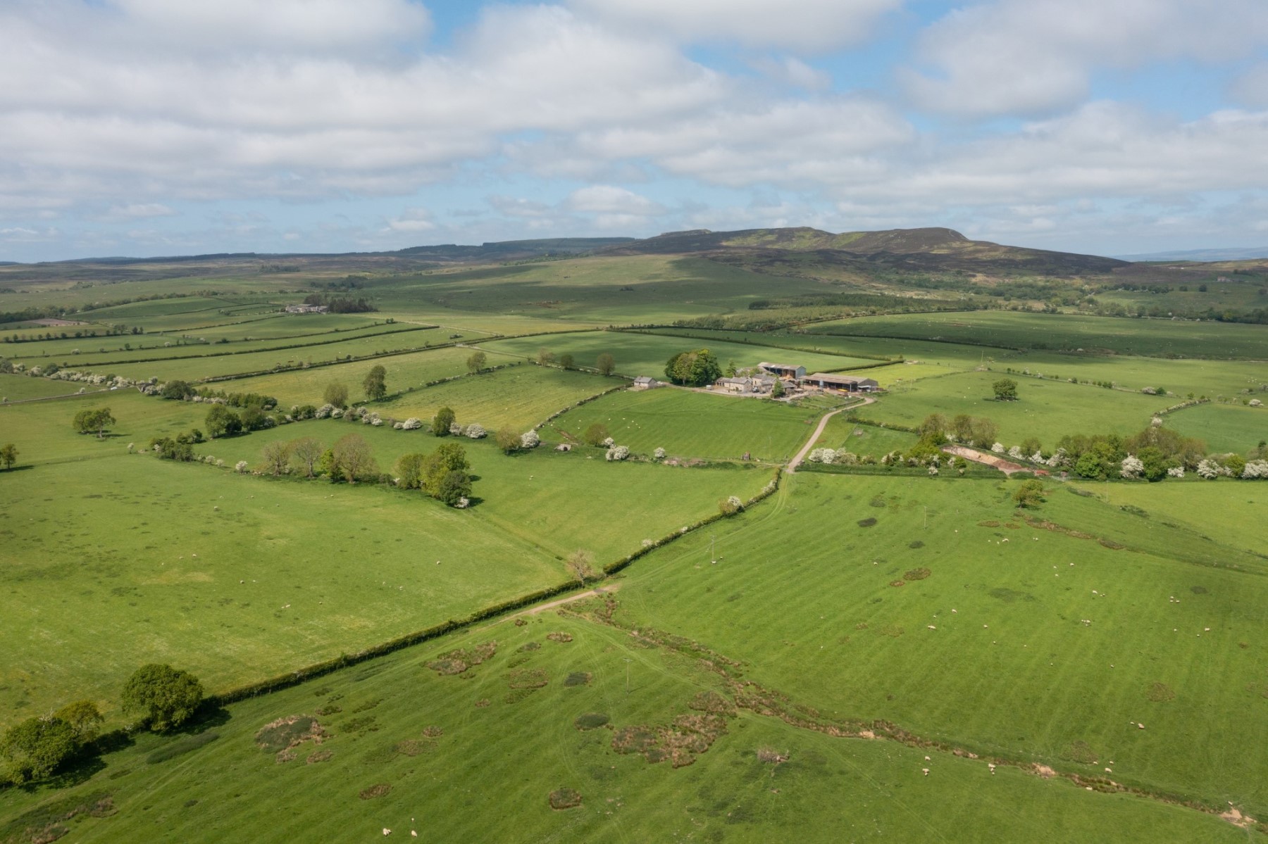 Image of The Wildlife Trusts purchase the Rothbury Estate in partnership with Northumberland Wildlife Trust