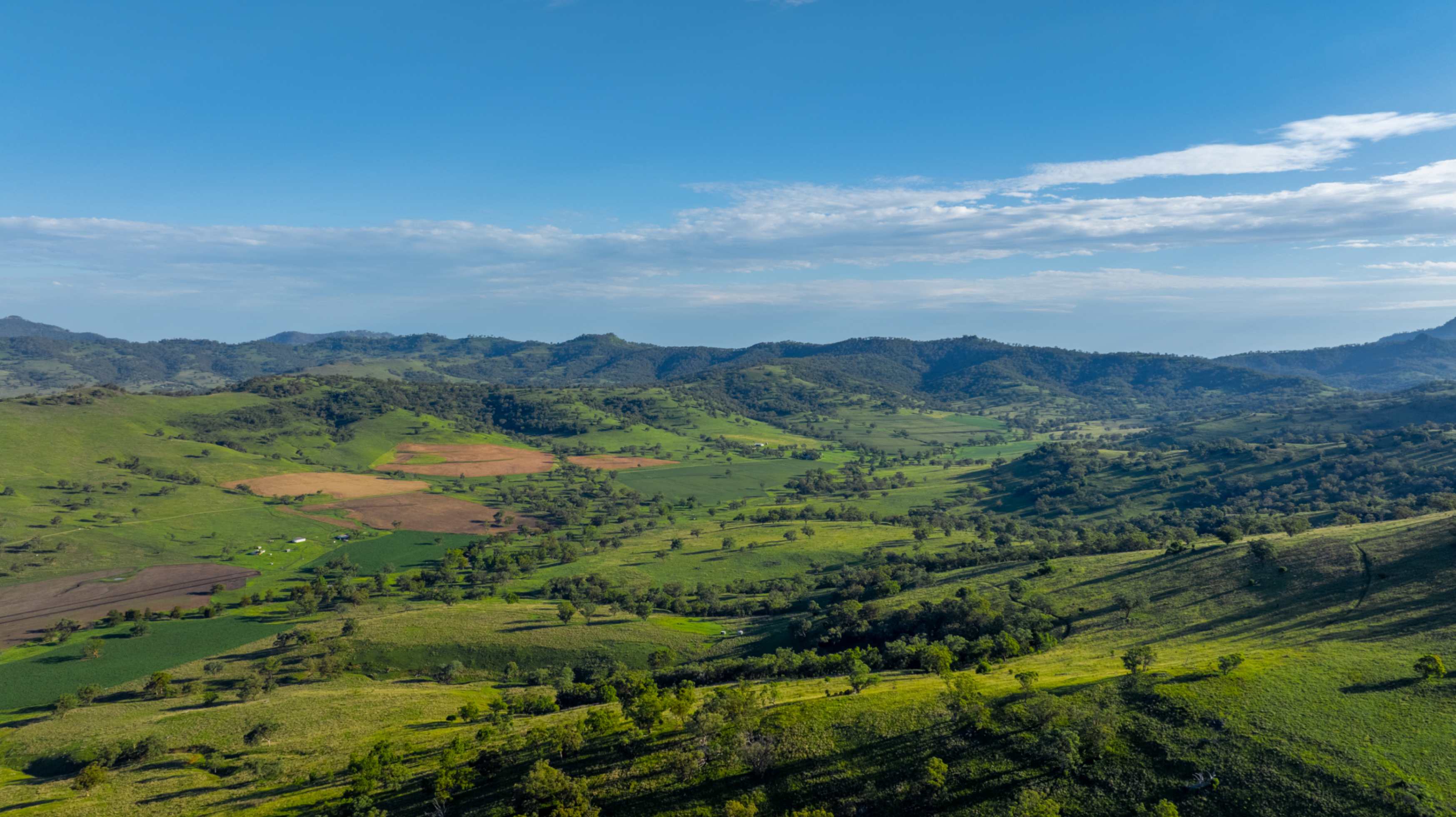 Image of Growing demand for natural capital in Australia’s rural market