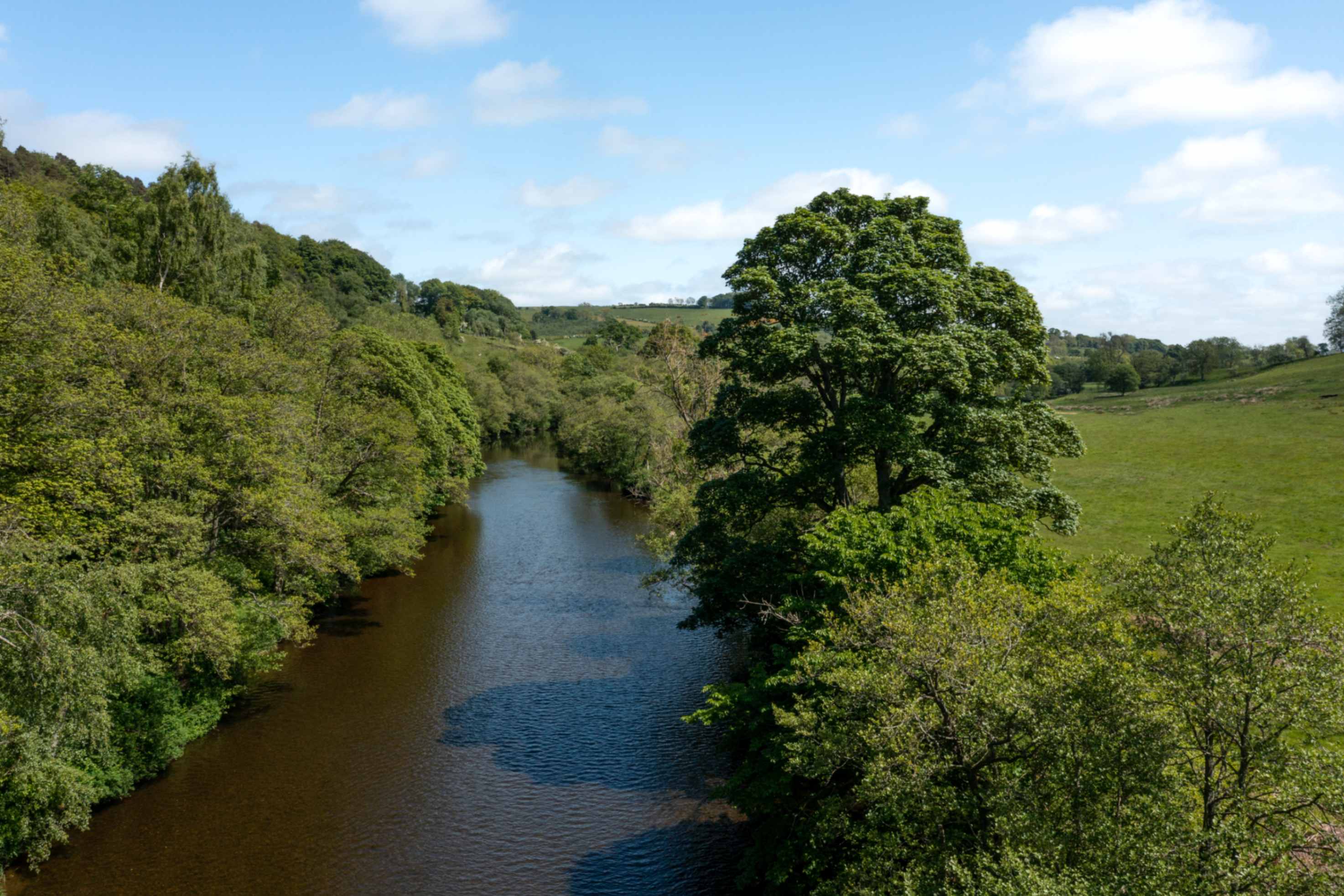 The Rothbury estate from above