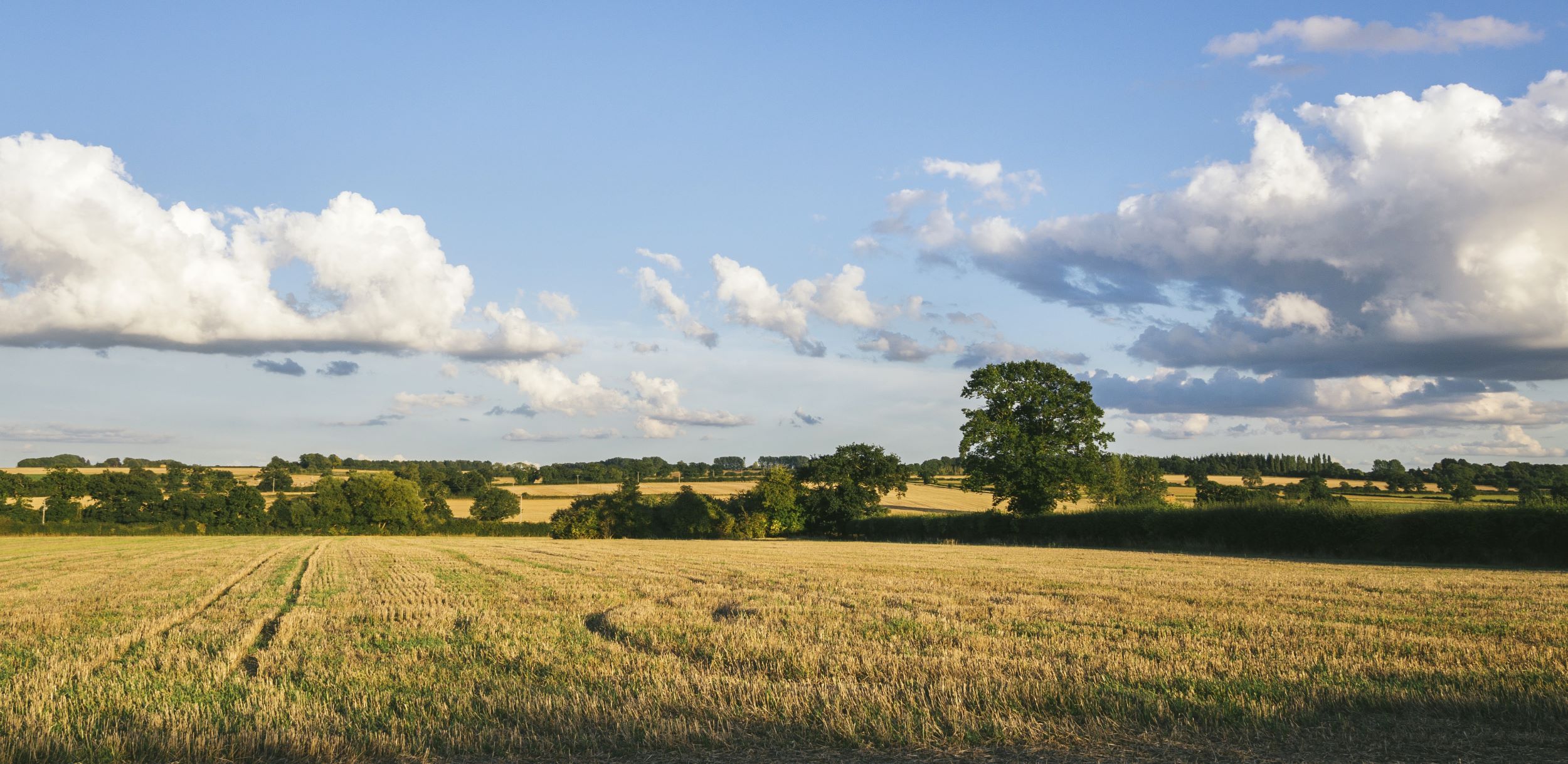 Empowering rural businesses: Addressing the gaps in grant funding