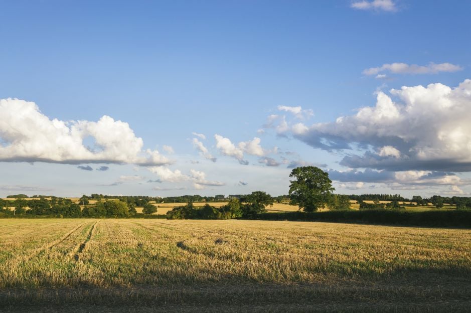 Image of Empowering rural businesses: Addressing the gaps in grant funding