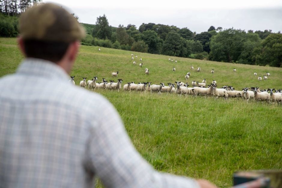 Image of Farming and rural grants - what's available