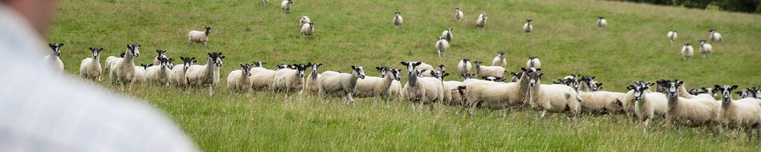 Farming and rural grants - what's available