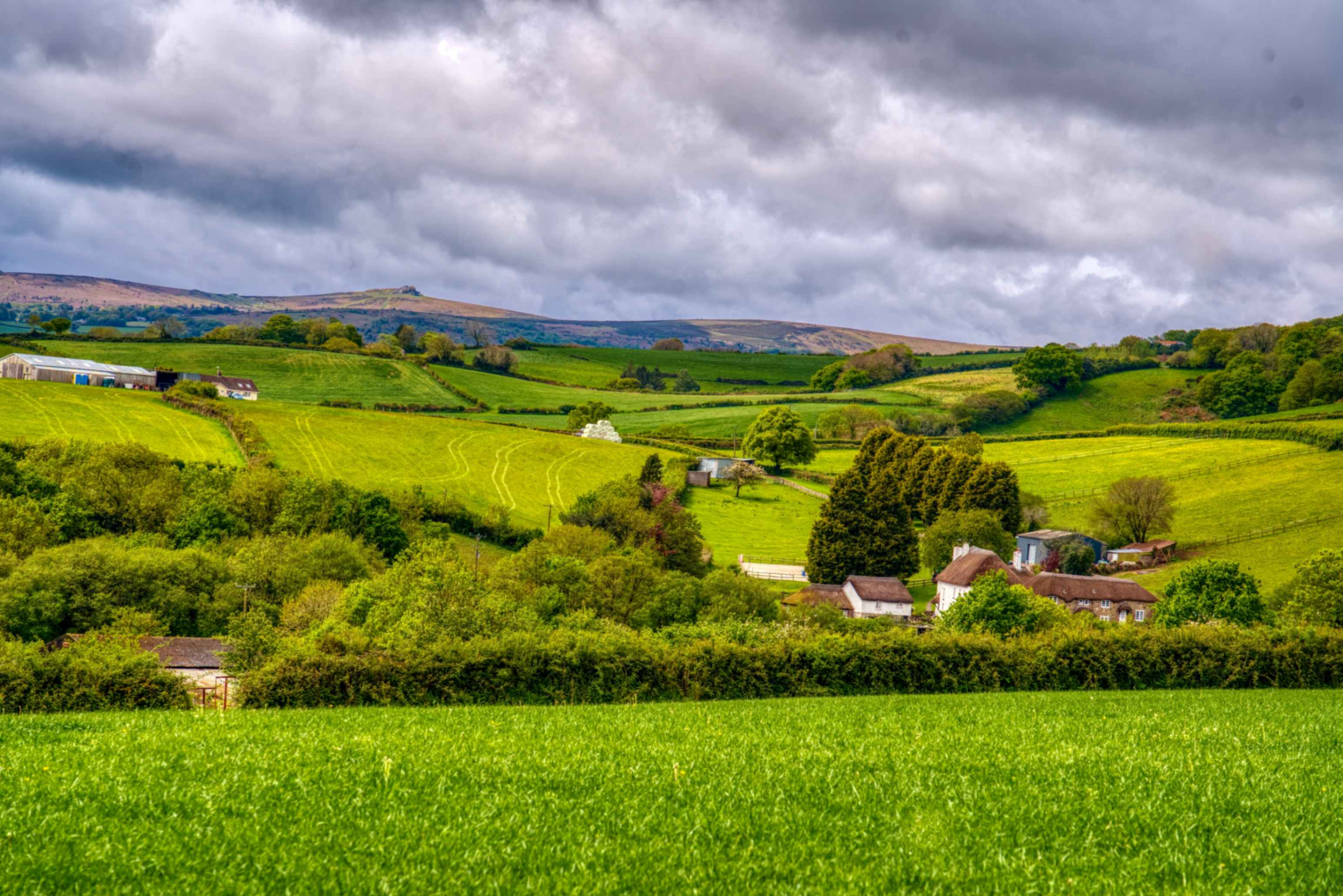 Image of Six post-election tax takeaways for rural business owners