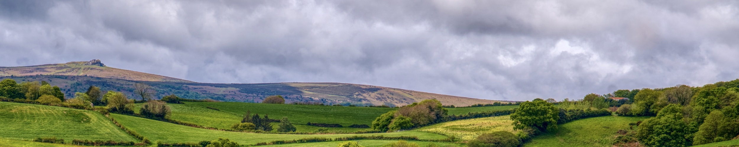 Six post-election tax takeaways for rural business owners