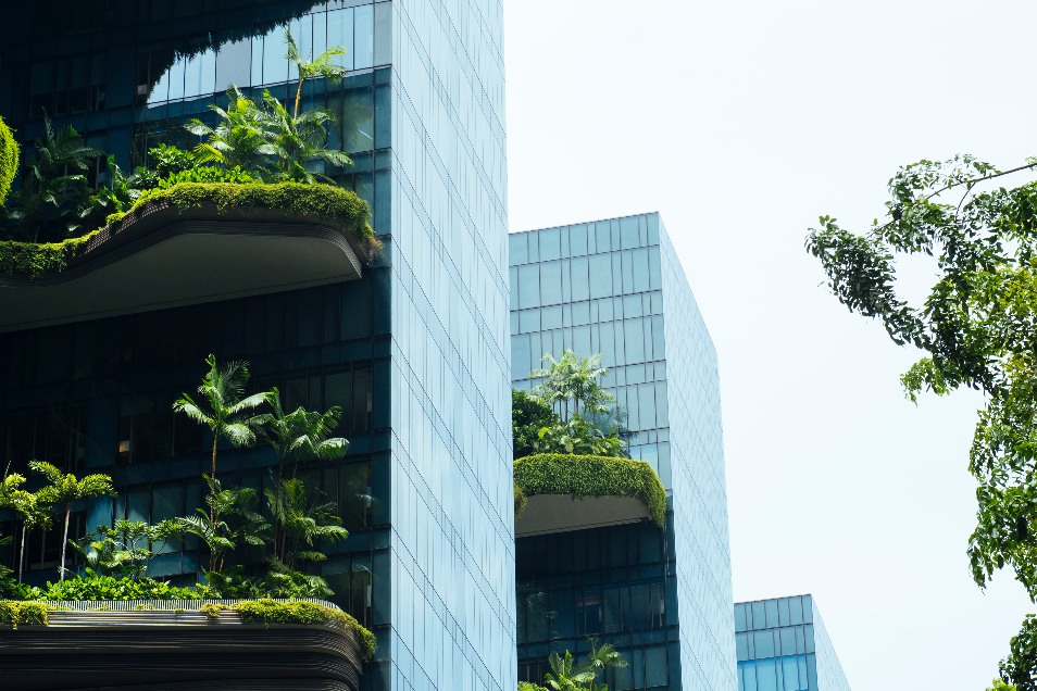 Image of Energy Savings Opportunity Scheme (ESOS): Phase 4