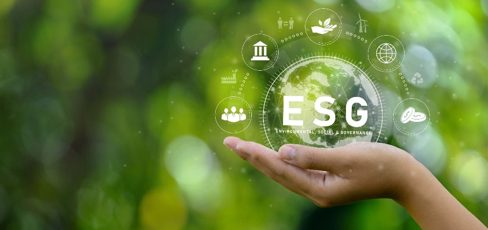 ESG in 2025: Going 'back to basics' to drive consistent, impactful results
