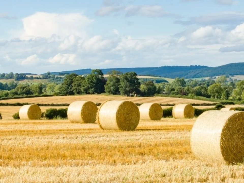 Image of The Rural Update: Policymakers must act on warming climate