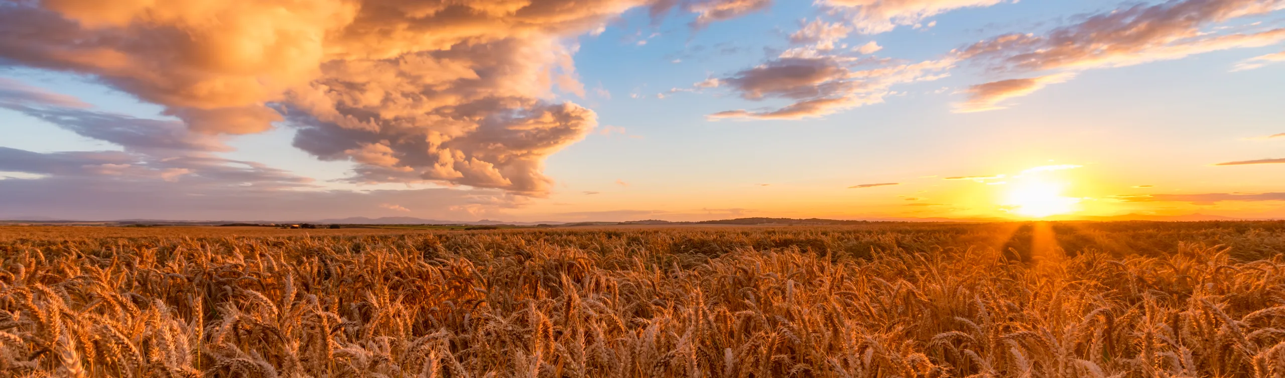 Financing the future