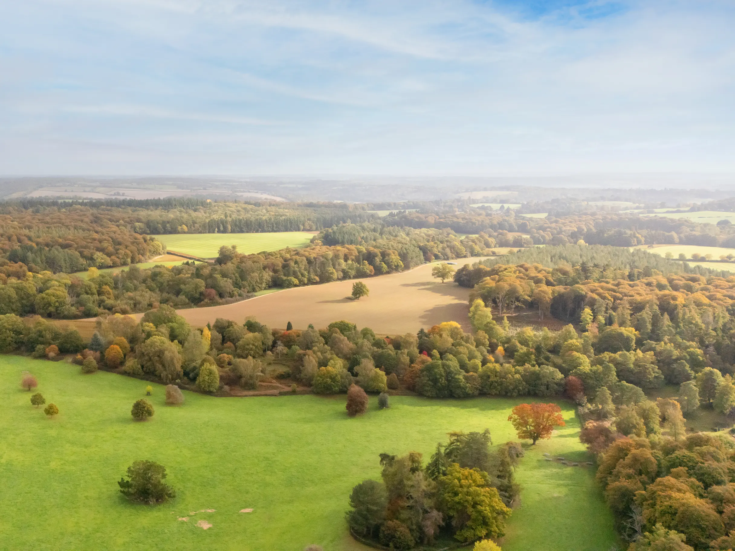 Image of Great estates