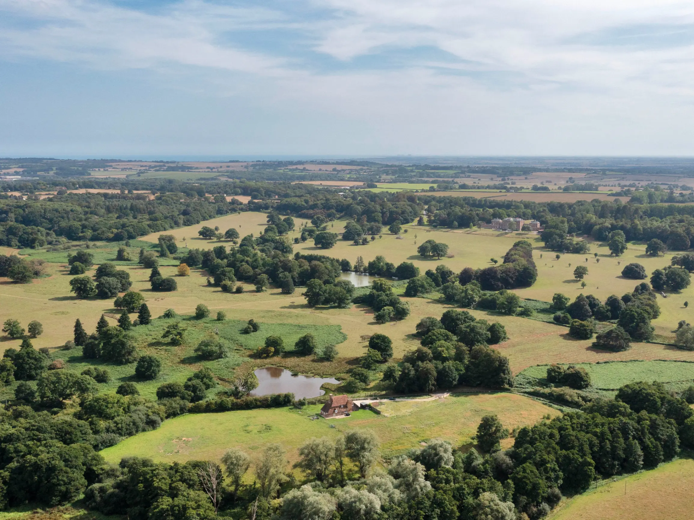 Image of Profitable partnerships and trusting talent