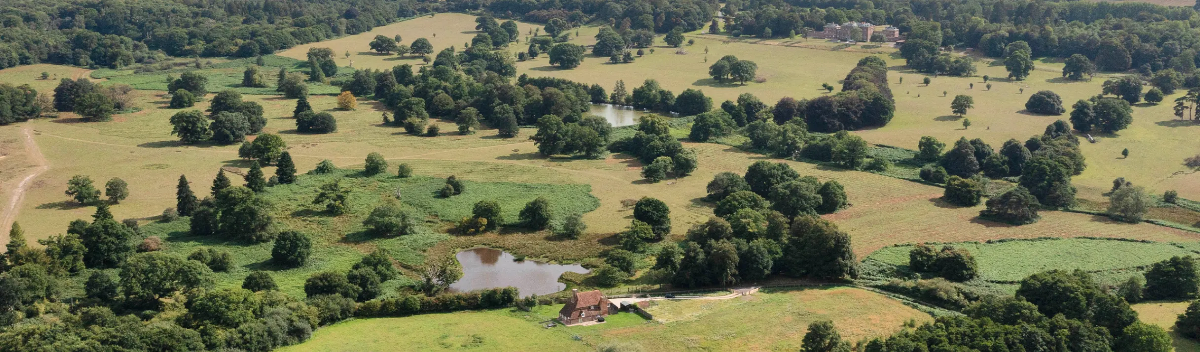 Profitable partnerships and trusting talent