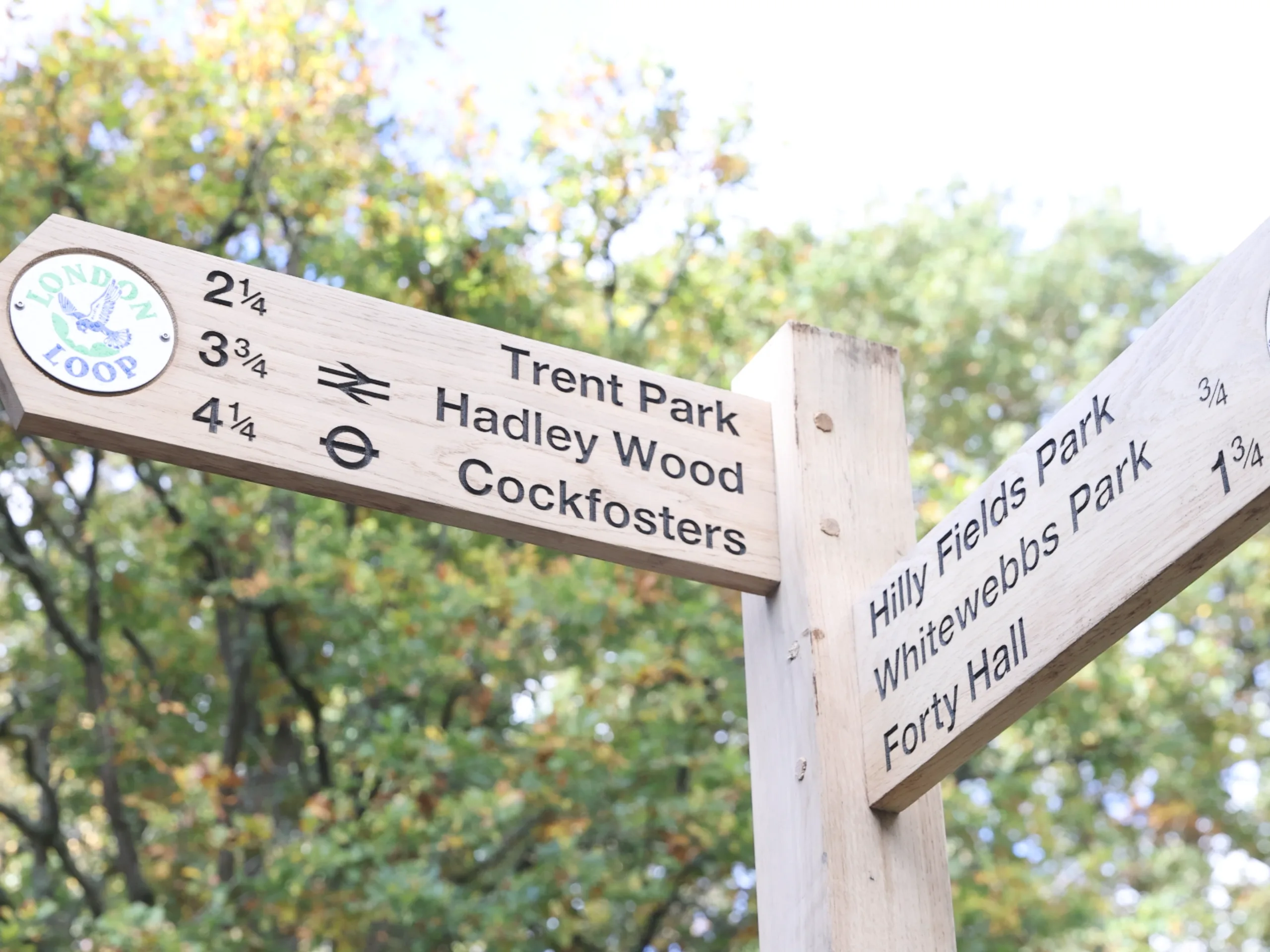 Image of Rewilding London