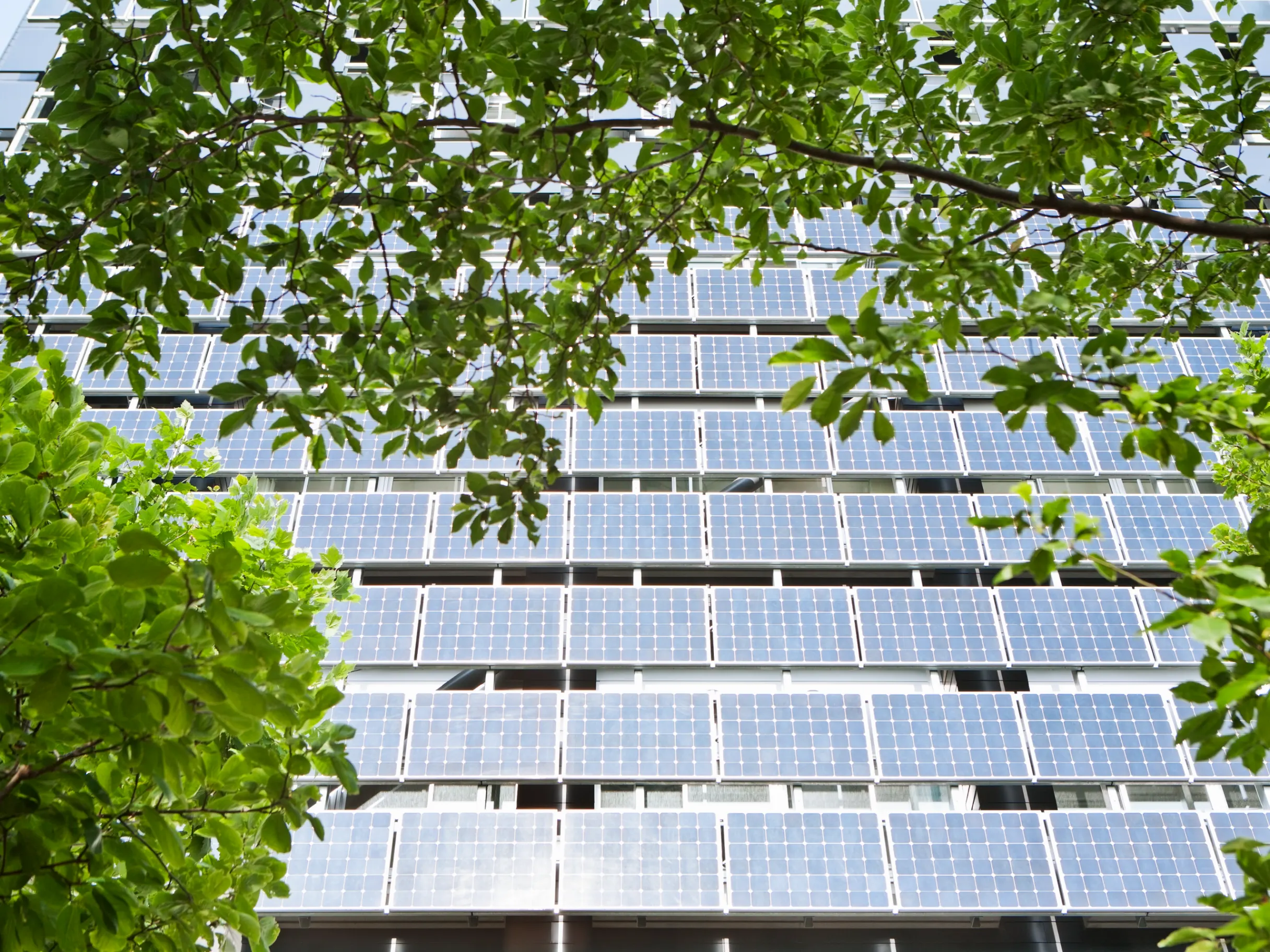 Image of Why there is no green bullet