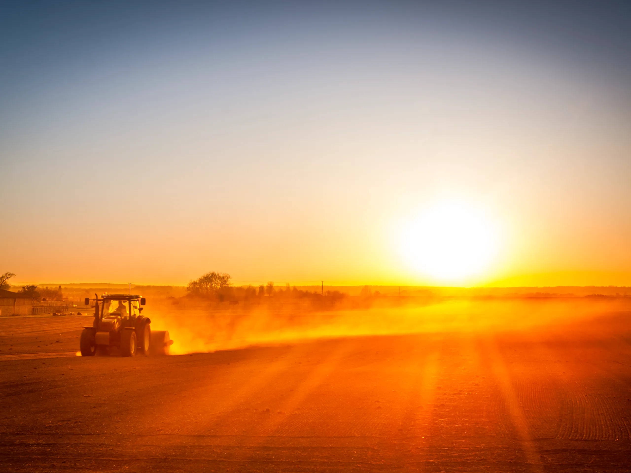 Image of A year that forced rural businesses to act