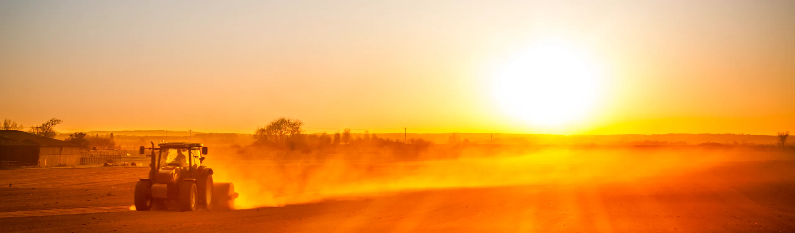 A year that forced rural businesses to act