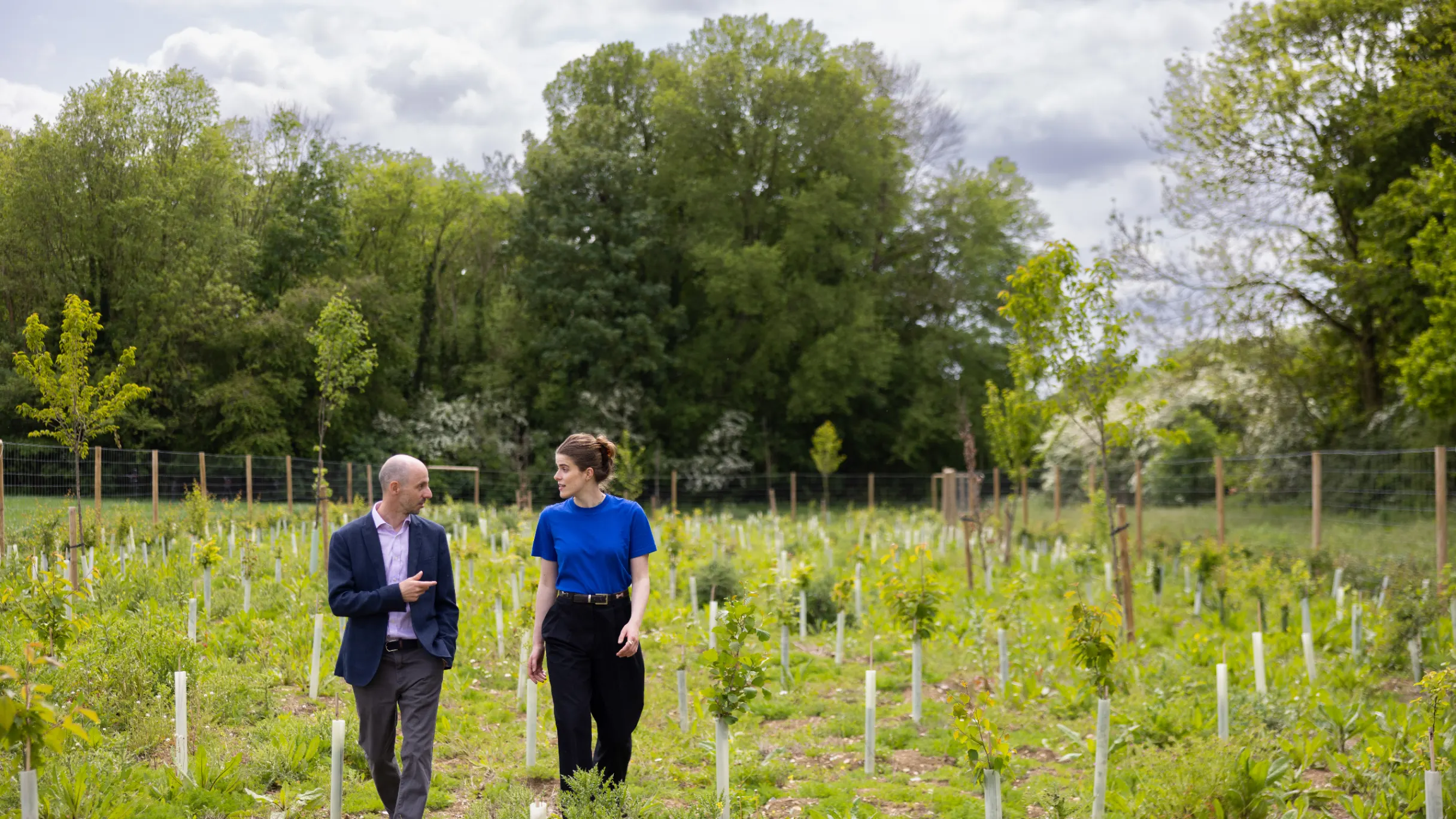 man-and-woman-walking-through-a-field-with-little-saplings-and-mature-trees-in-the-background