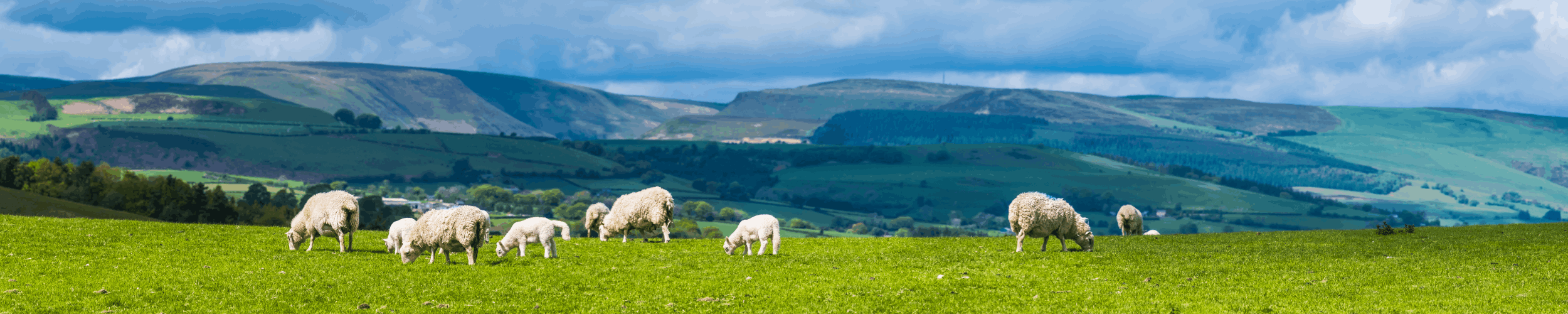 The Rural Update: The government knocks farmers again