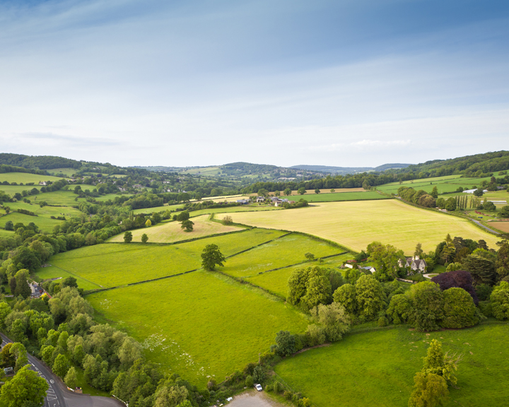 Image of Farmland market holds firm despite political and financial pressures