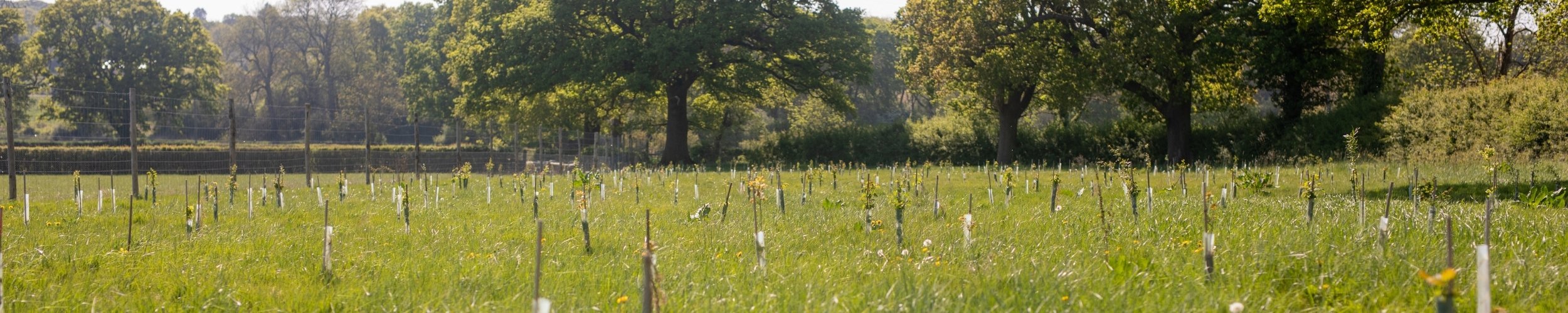 Seven ways landed estates are benefiting from smart technology