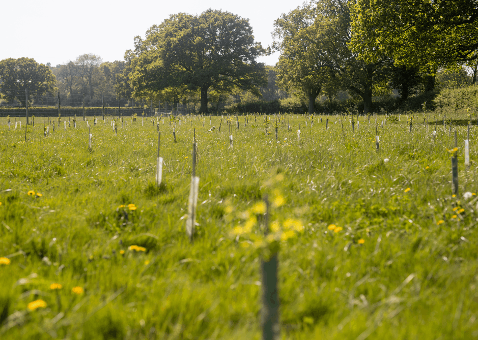 Image of Seven ways landed estates are benefiting from smart technology