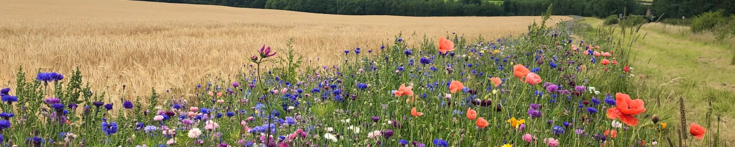 Top five grants for farms and rural estates