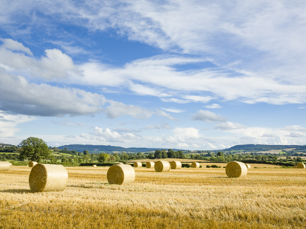 The Rural Update: Boosting soil and climate resilience