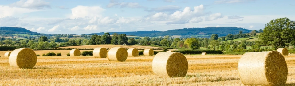 The Rural Update: Take safety seriously