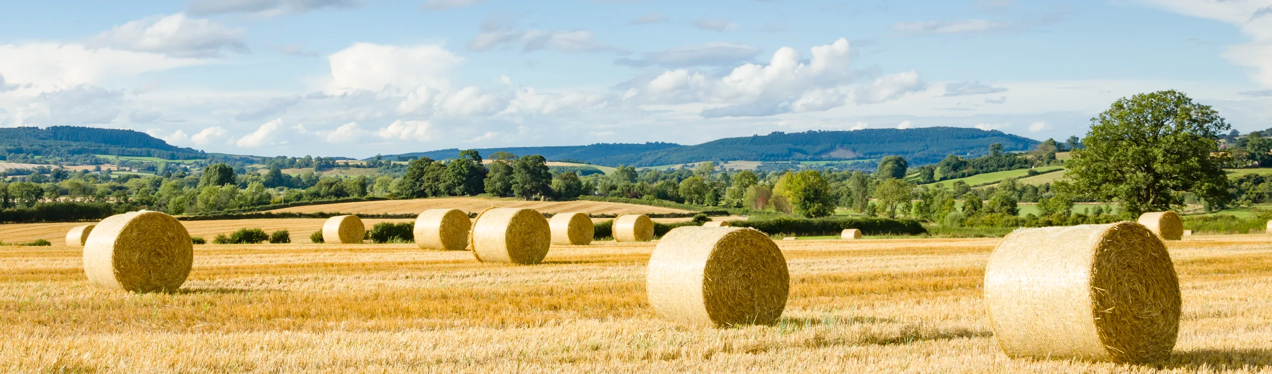  The Rural Update: More positive news needed