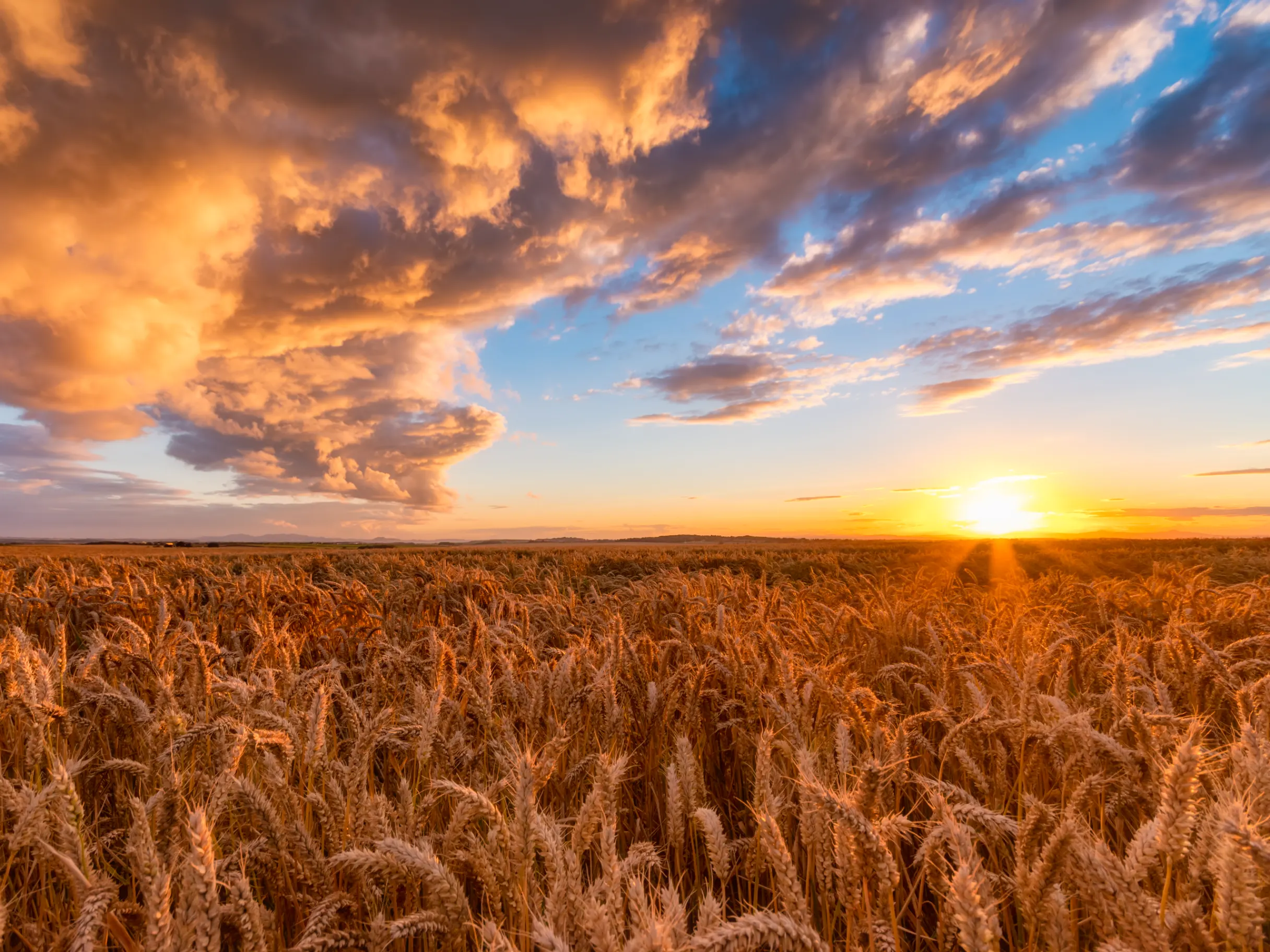 Image of When continuity becomes a risk: the rural estate resilience challenge