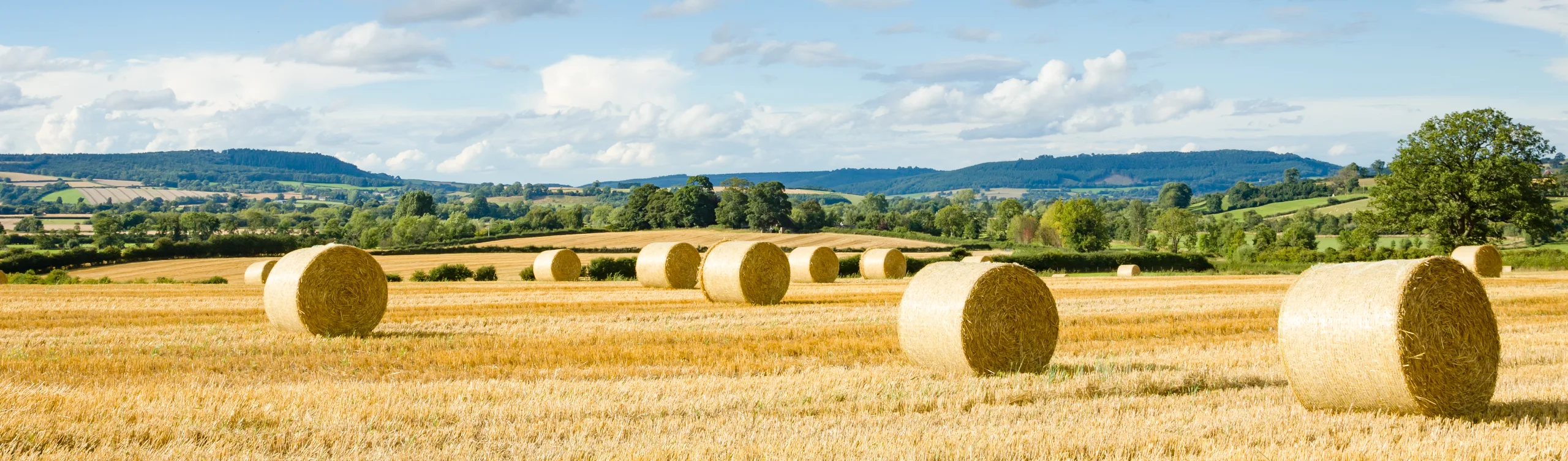 The Rural Update: Make farming a strategic economic sector