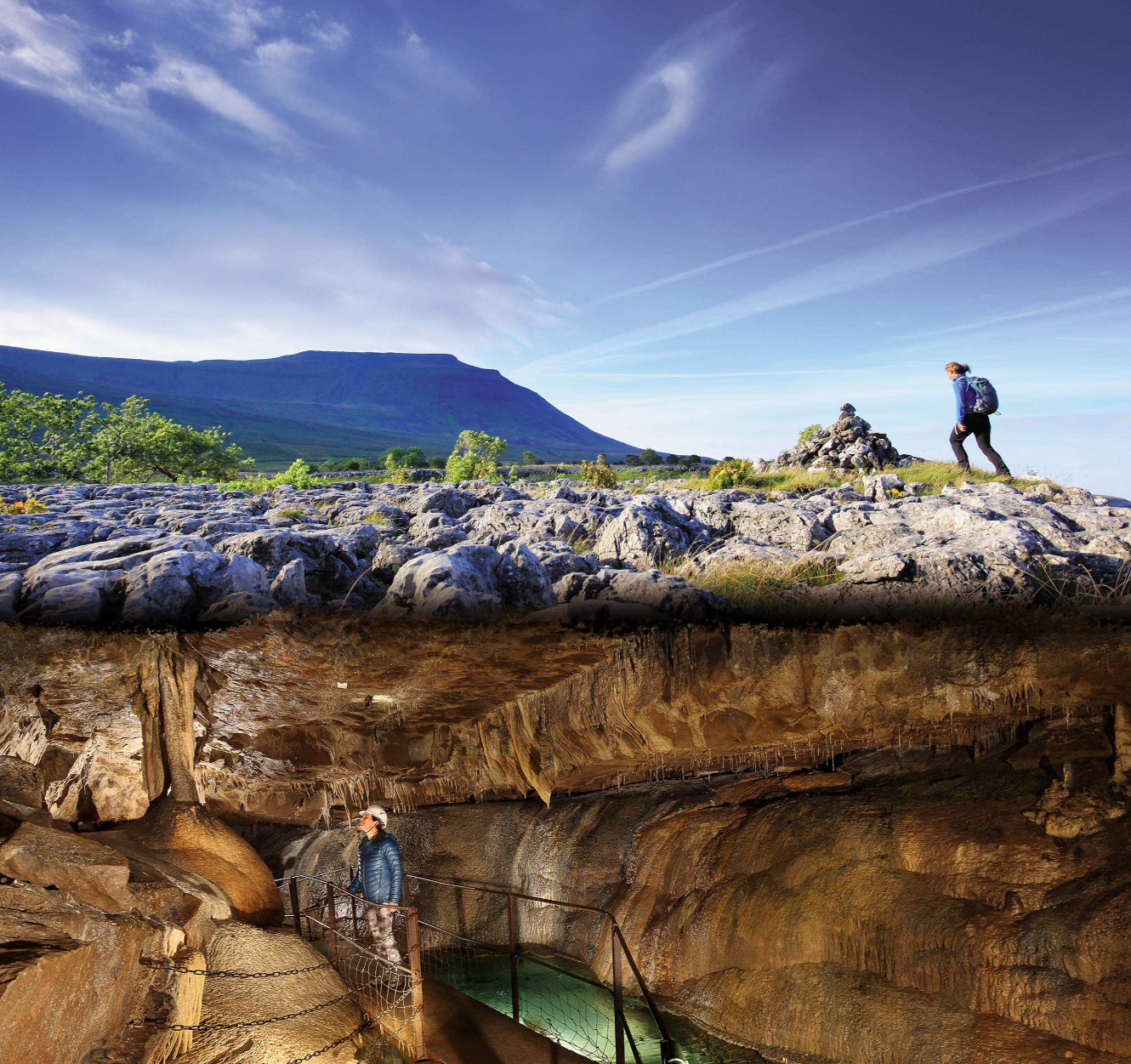 Image of From sawmill to estate enterprise: purposeful diversification at Ingleborough