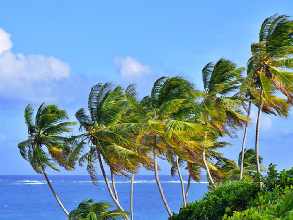 The Caribbean cautiously opens its doors
