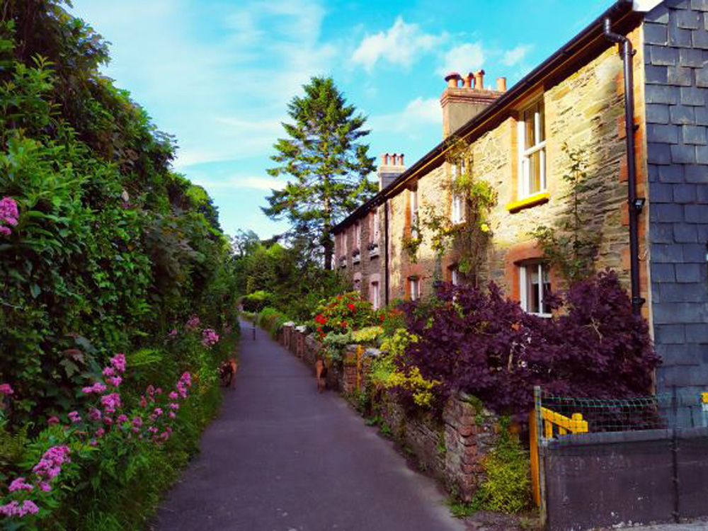 Country house price growth hits four-year high after record activity