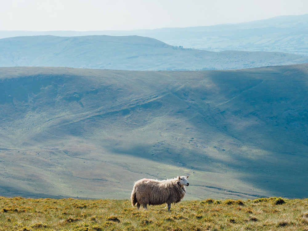 The Knight Frank Rural Property and Business Update – 23 November