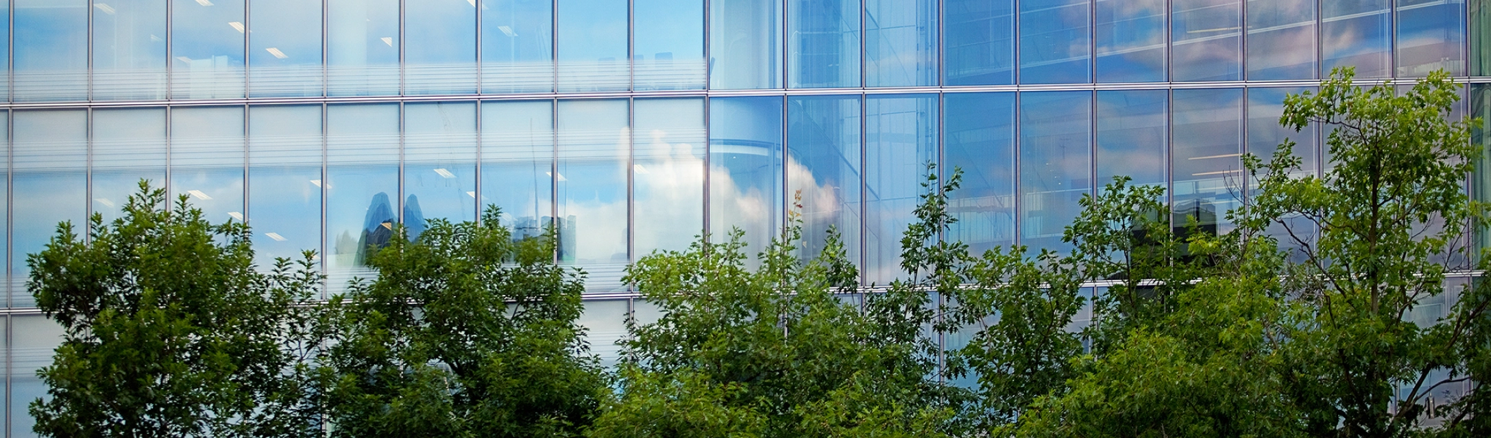 Green is the new black: how sustainable buildings can support returns